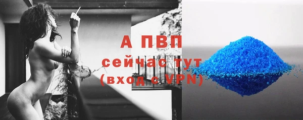 гидра Покров