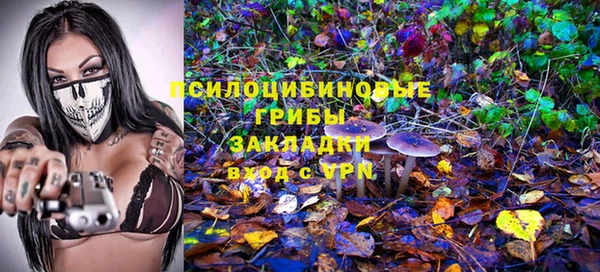 тгк Покровск