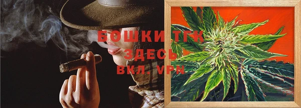 стафф Покачи